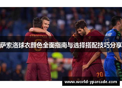 萨索洛球衣颜色全面指南与选择搭配技巧分享